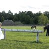 20100904 dita ir mindaugas 072